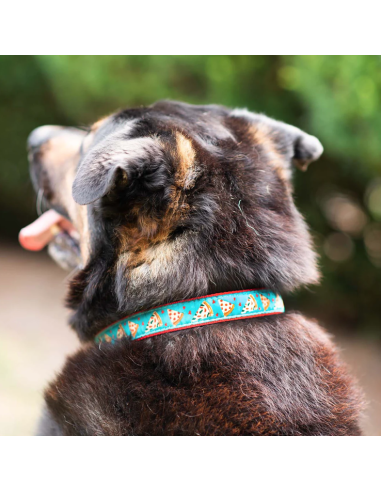 PIZZA LOVER COLLAR