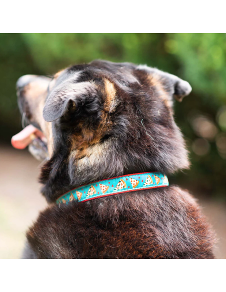 PIZZA LOVER COLLAR