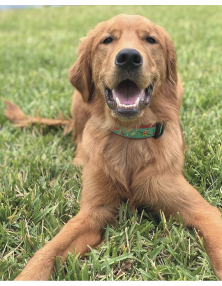CINCO DE MAYO COLLAR