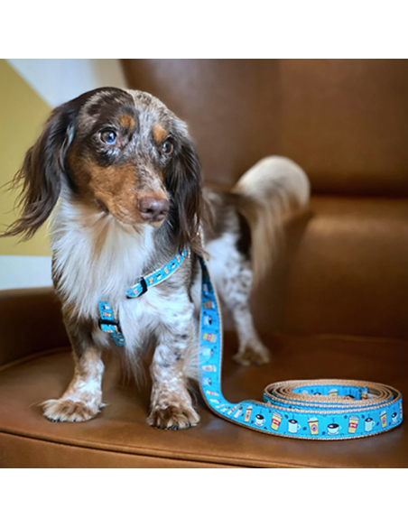 COFFEE NUT GUINZAGLIO