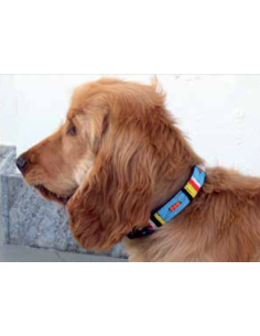KITO COLLAR