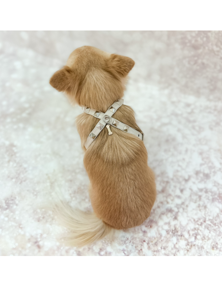 CHIC AND STUD HARNESS OYSTER SILVER