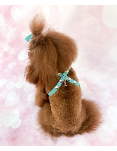 CHIC AND STUD HARNESS ACQUA SILVER