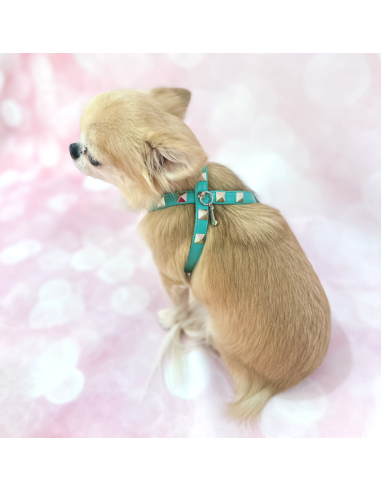 CHIC AND STUD HARNESS ACQUA SILVER