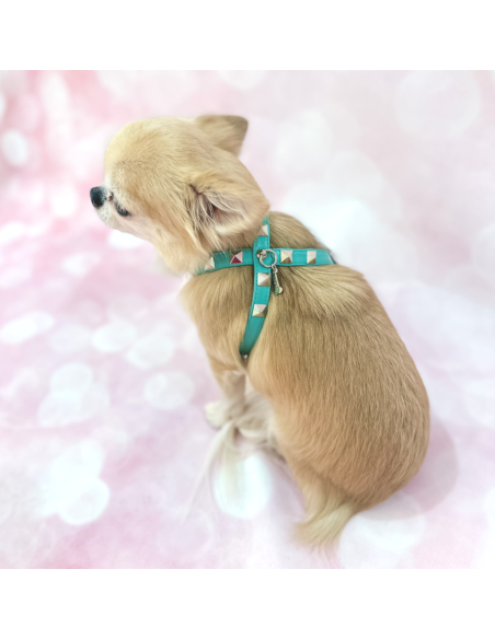 CHIC AND STUD HARNESS ACQUA SILVER