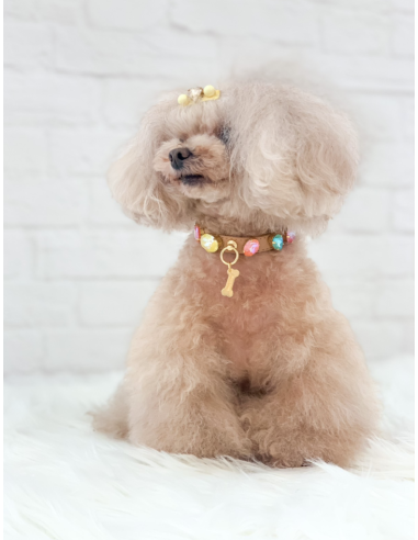 CANDY DIAMOND COLLAR CANDY DIAMOND COLLAR