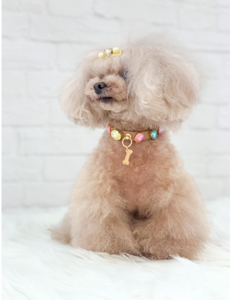 CANDY DIAMOND COLLAR