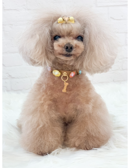 CANDY DIAMOND COLLAR