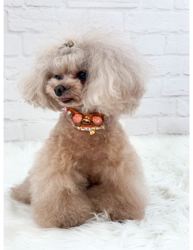 TANGERINE SORBET COLLAR