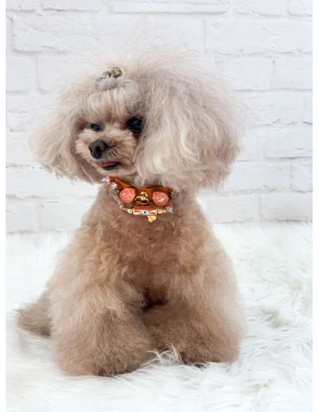 TANGERINE SORBET COLLAR