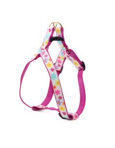 SPRING FEVER HARNESS