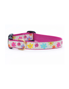 SPRING FEVER COLLAR