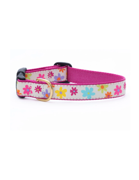 SPRING FEVER COLLARE