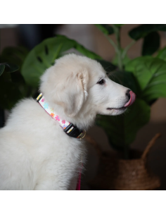 SPRING FEVER COLLAR 2