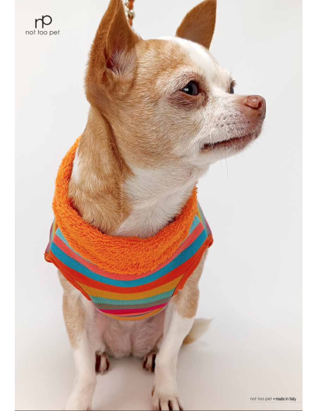 RAINBOW STRIPED GILET