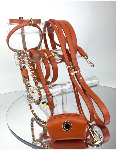 MANDARINO ICON LEASH MANDARINO ICON LEASH