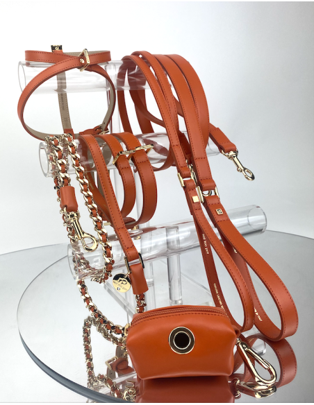 MANDARINO ICON LEASH