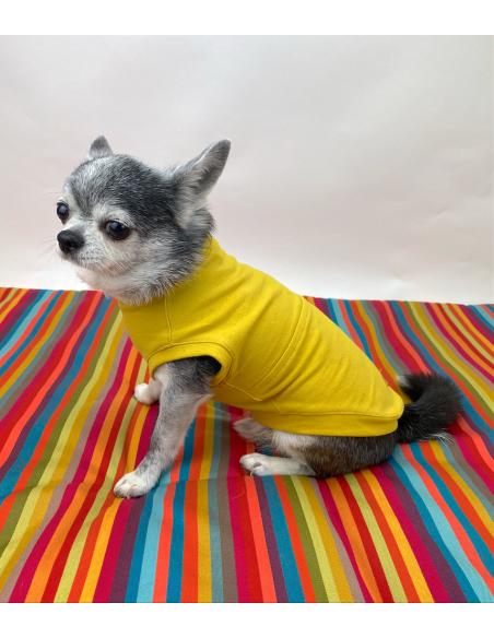 T-SHIRT BASIC CEDRO