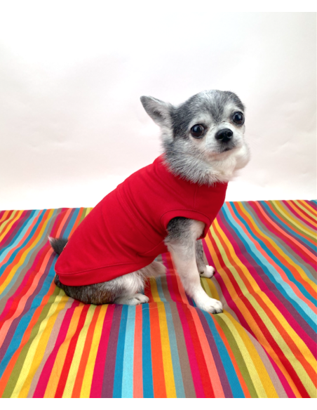 LIPSTICK BASIC T-SHIRT