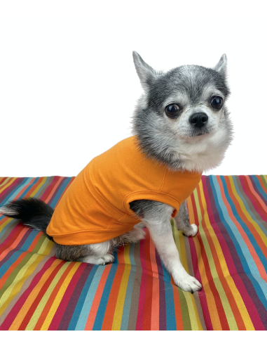 T-SHIRT BASIC MANDARINO T-SHIRT BASIC MANDARINO