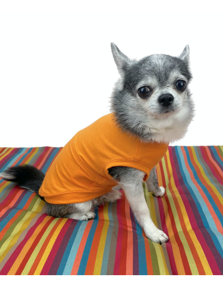 T-SHIRT BASIC MANDARINO