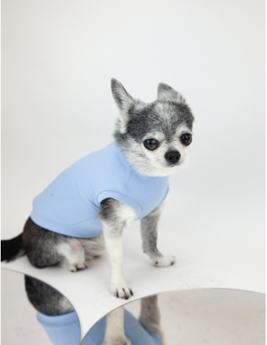 T-SHIRT BASIC ZUCCHERO FILATO