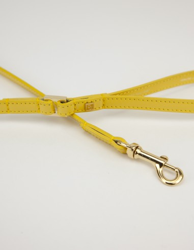 CEDAR BASIC LEATHER LEASH