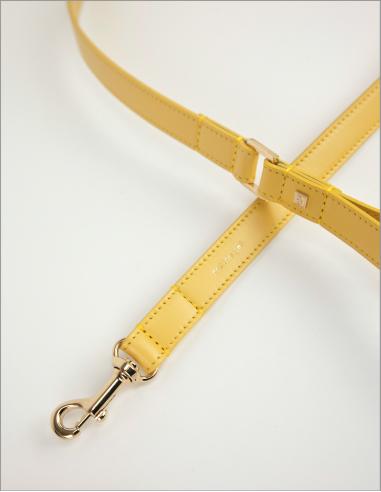 BASIC LEATHER LEASH CEDRO