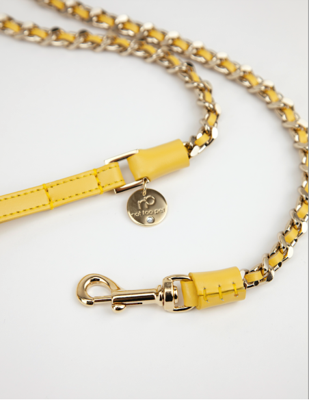 ICON LEASH CEDRO