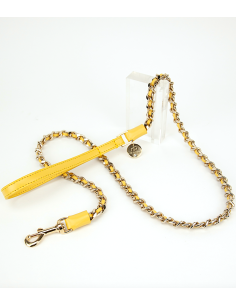 CEDAR ICON LEASH 2
