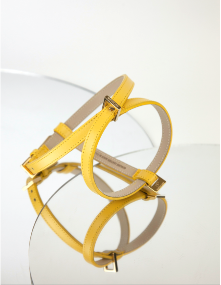 CEDAR LEATHER BASIC HARNESS