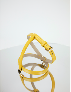 BASIC HARNESS LEATHER CEDRO 2