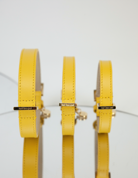 BASIC LEATHER COLLAR CEDRO