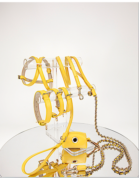 BASIC LEATHER COLLAR CEDRO