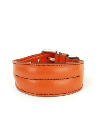 PETAL ORANGE COLLAR