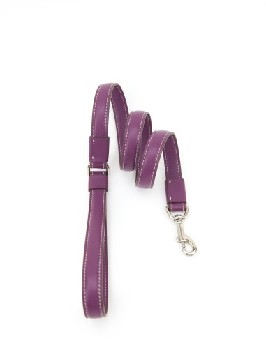 PETUNIA PLUS LEASH