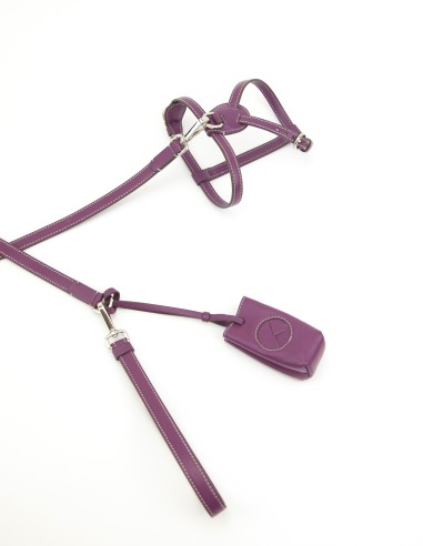 PETUNIA EGO LEASH PETUNIA EGO LEASH