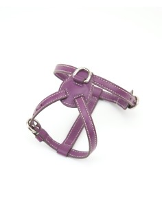 PETUNIA NUVOLA HARNESS