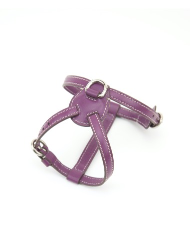 PETUNIA NUVOLA HARNESS