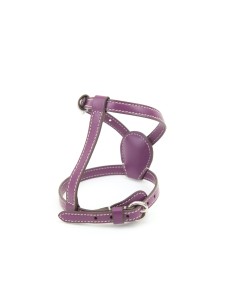 PETUNIA NUVOLA HARNESS 2
