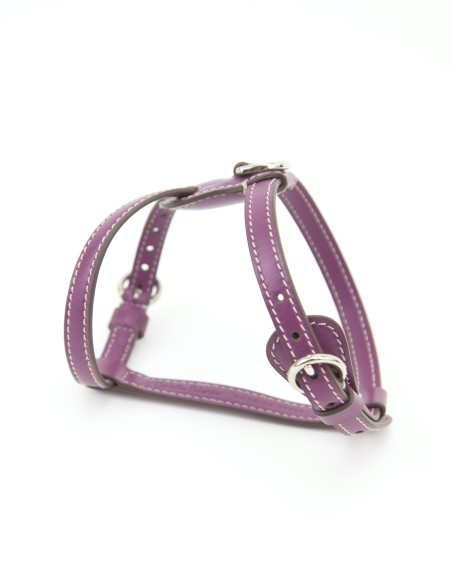 PETUNIA NUVOLA HARNESS