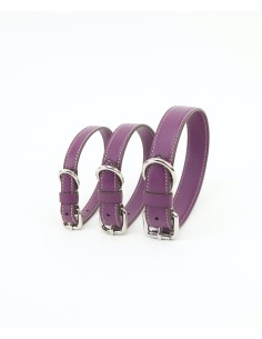 PETUNIA COLLAR 2