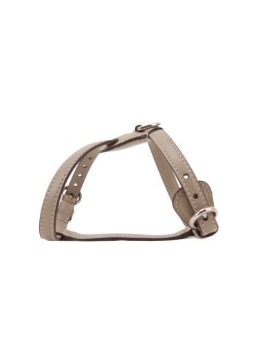 DESERT NUVOLA HARNESS DESERT NUVOLA HARNESS