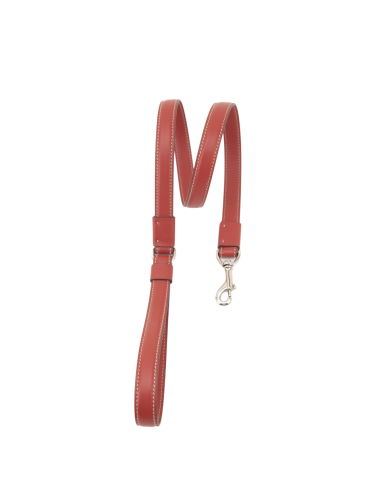 TERRE DI SIENA STRONG LEASH