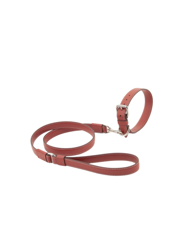 TERRE DI SIENA STRONG LEASH