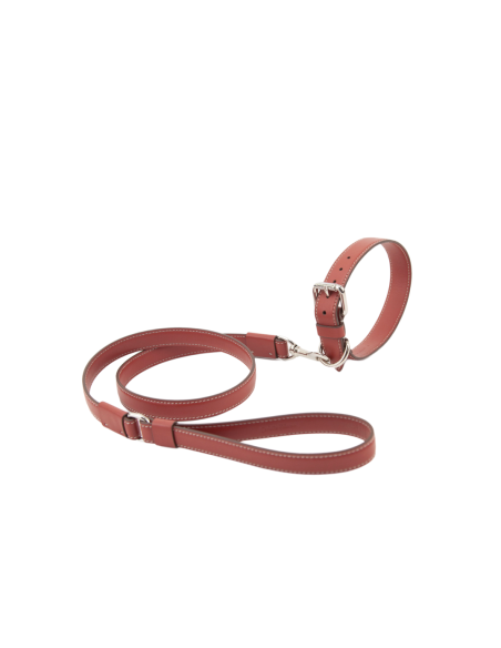 TERRE DI SIENA STRONG LEASH