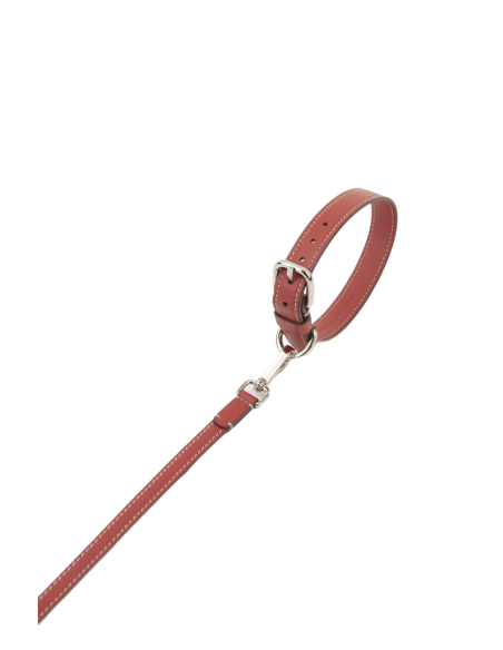 TERRE DI SIENA EGO LEASH