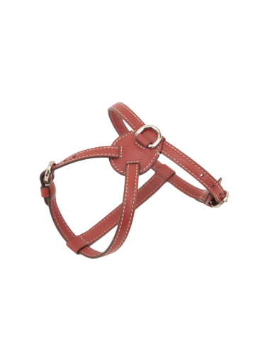 TERRE DI SIENA NUVOLA HARNESS