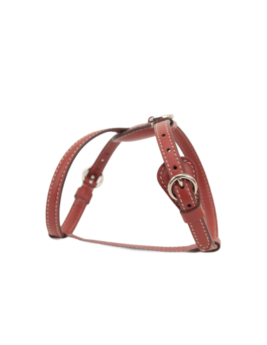 TERRE DI SIENA NUVOLA HARNESS TERRE DI SIENA NUVOLA HARNESS