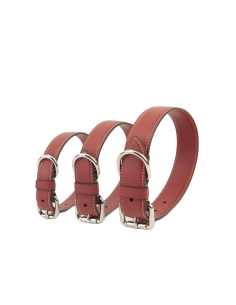 TERRE DI SIENA COLLAR 2